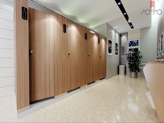 Moisture-Proof PVC composite Bathroom Divider 35mm Hospital